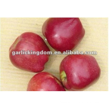 NEW Gansu red apple red huaniu apple